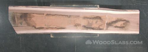 Eucalyptus Wood Slab #CB7-ZJP-CD5B