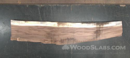 Parota Wood Slab #9QT-2QG-FD5M