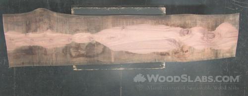 Eucalyptus Wood Slab #NL7-KOK-DQ3Q