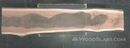 Eucalyptus Wood Slab #ZGH-K7U-0DQ1