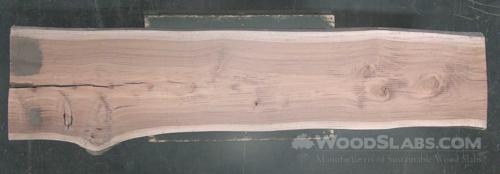 Eucalyptus Wood Slab #XOT-WDN-O7MP
