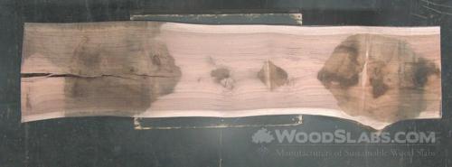 Eucalyptus Wood Slab #SD2-X3R-1HGV