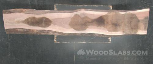 Eucalyptus Wood Slab #291-MRL-XEE4