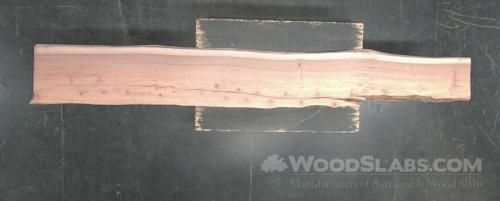 Eucalyptus Wood Slab #KIP-H03-28IW