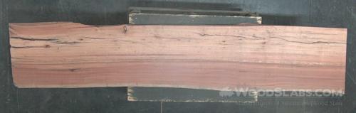 Eucalyptus Wood Slab #EQ4-LFQ-06NO