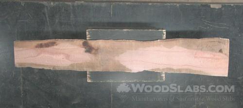 Eucalyptus Wood Slab #BSR-E74-25IQ