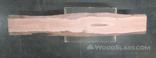 Eucalyptus Wood Slab #R7C-E3B-5SR8