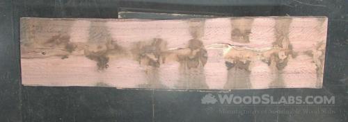 Eucalyptus Wood Slab #K7A-F9X-M309