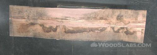 Eucalyptus Wood Slab #COM-TV7-ILDO