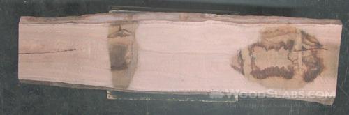 Eucalyptus Wood Slab #F1O-8LZ-A3KP