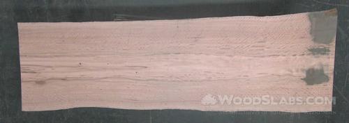 Eucalyptus Wood Slab #A5L-S6A-0P7B