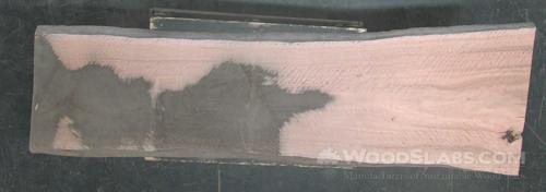Eucalyptus Wood Slab #5ED-685-4MWS