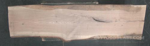 White Oak Wood Slab #MSX-2IY-6TRX