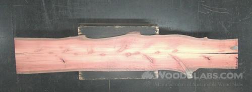 Eucalyptus Wood Slab #W2S-WTJ-8AU2