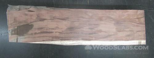 Parota Wood Slab #QMJ-B8K-BF3T