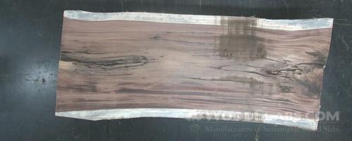 Parota Wood Slab #7R2-9IG-OK0X