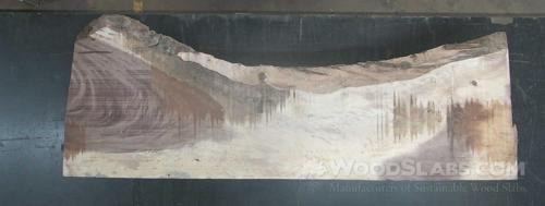 Monkey Pod Wood Slab #7EM-CJK-GXD3