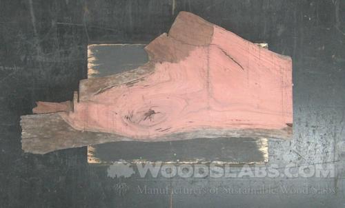 Eucalyptus Wood Slab #CJO-BRN-O3HI