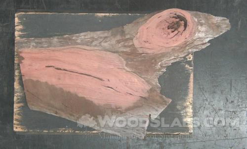 Eucalyptus Wood Slab #E31-C03-RT3S