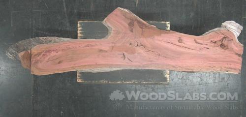 Eucalyptus Wood Slab #BFO-YHU-7665
