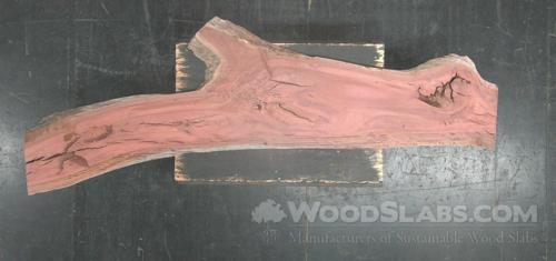 Eucalyptus Wood Slab #ZG3-BWE-5H7K