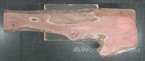 Eucalyptus Wood Slab #5SL-3E9-9SPP