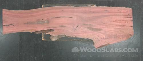 Eucalyptus Wood Slab #9WH-C57-N4TH