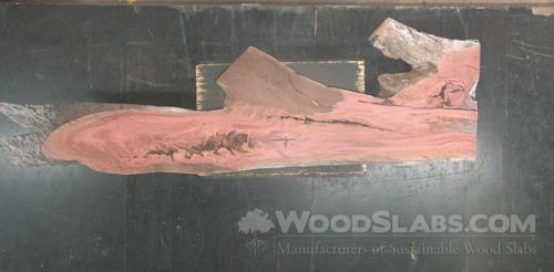 Eucalyptus Wood Slab #0PD-HA3-4LT3