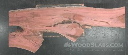 Eucalyptus Wood Slab #WS8-C92-V805