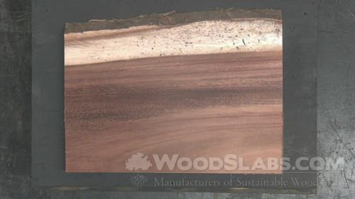 Parota Wood Slab #B3X-3BD-4B8S