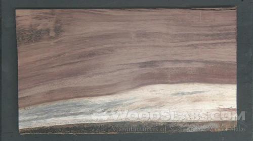 Parota Wood Slab #IA6-1MF-OH69