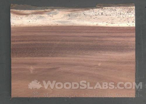 Parota Wood Slab #H1R-53H-KCLR