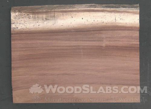 Parota Wood Slab #Z9J-5V7-CB8F