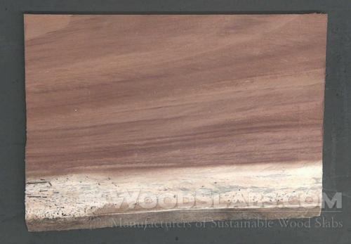 Parota Wood Slab #5IF-8YI-2W8B