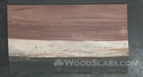 Parota Wood Slab #CCM-SE8-BR90
