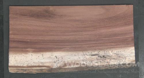 Parota Wood Slab #ABT-AVV-F0L2