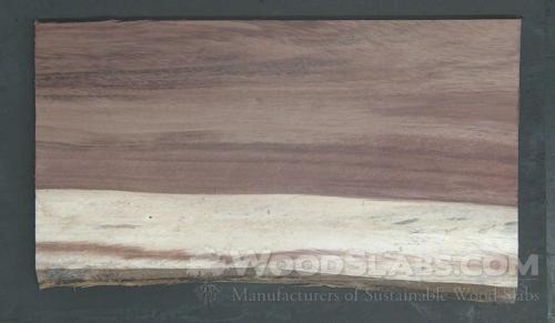 Parota Wood Slab #46F-GVY-YFWH