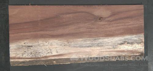 Parota Wood Slab #DK3-227-OV59