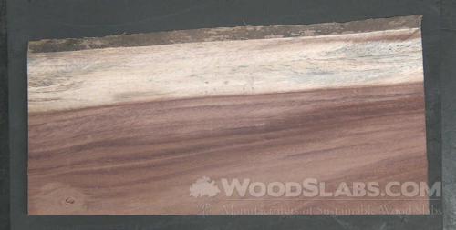 Parota Wood Slab #SVC-304-2XWQ