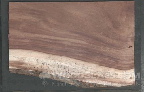 Parota Wood Slab #0SG-DLA-N7HG