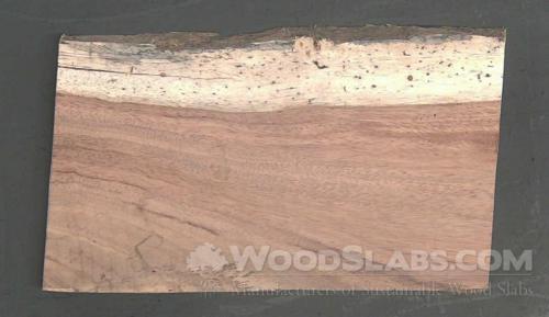 Parota Wood Slab #K3P-VVH-S3J1