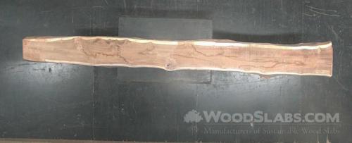 Latin Teak Wood Slab #3QL-ILO-WLUF