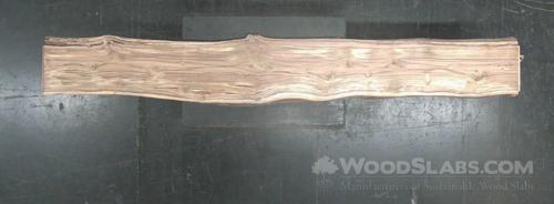 Latin Teak Wood Slab #J46-Y6J-J31E
