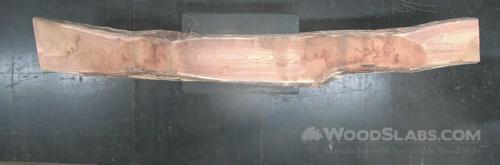 English Elm Wood Slab #16H-BF0-XNH1
