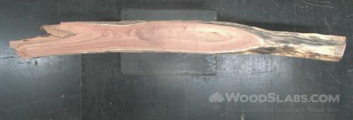 English Elm Wood Slab #RT1-67A-8LH9