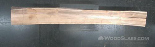 Latin Teak Wood Slab #LF2-WPD-BZ0V