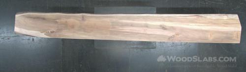 Latin Teak Wood Slab #0B6-IF3-5N58