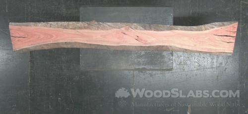 Eucalyptus Wood Slab #KGD-ESV-4HAY