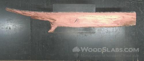 Eucalyptus Wood Slab #D8E-AIG-14F4