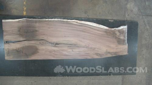 Parota Wood Slab #IVV-C4D-0HZV